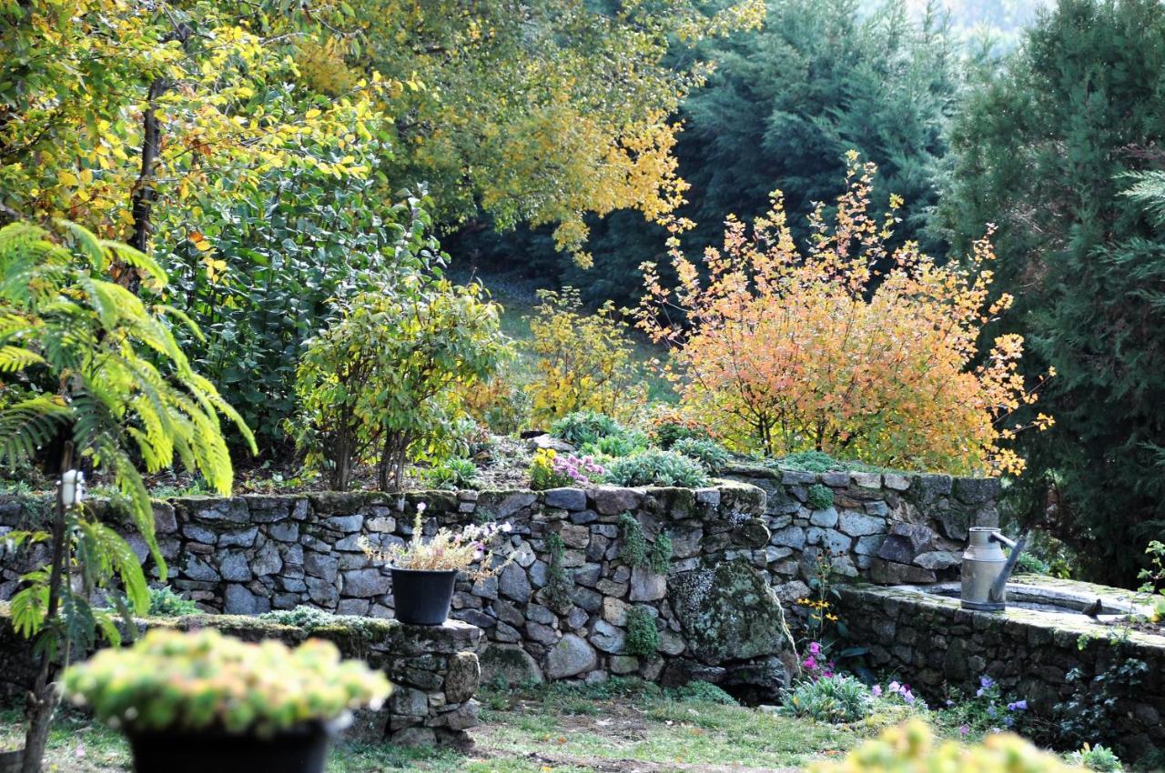 Chambre d'hôtes de Thorée Maclas Exterior foto